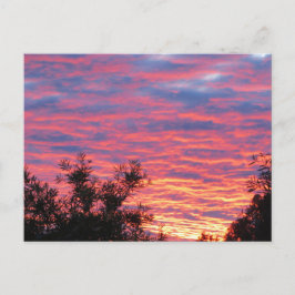 Cartão Postal Por do sol do verão