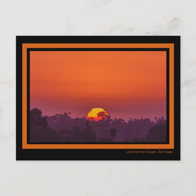 Cartão Postal Pôr do Sol Dramático Laranja Palmeira Rosa Verão (Frente)