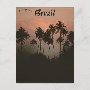 Cartão Postal Pôr do sol e palmeiras no Brasil