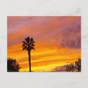 Cartão Postal Pôr do sol em Palm Springs