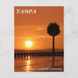 Cartão Postal Pôr do sol em Tampa Courtney Campbell Causeway