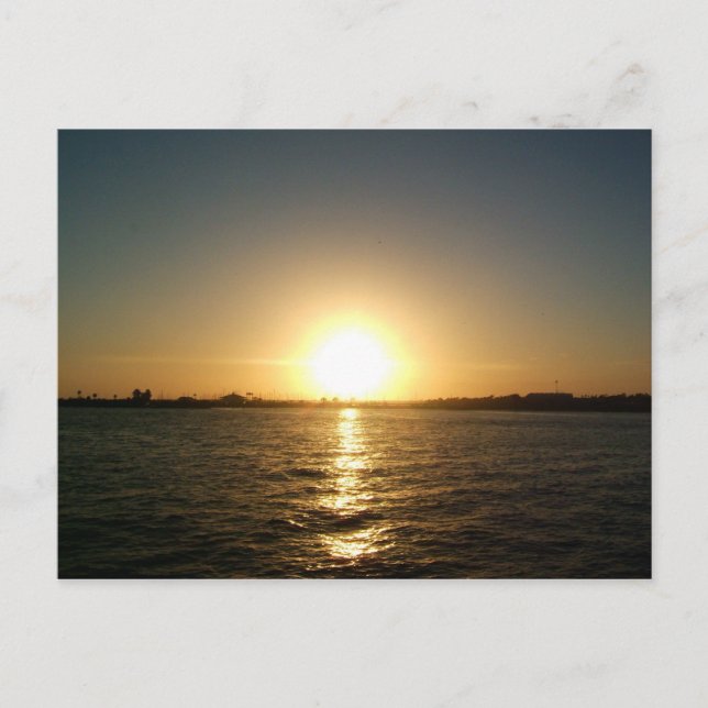 Cartão Postal pôr do sol em tampa florida (Frente)
