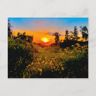 Cartão Postal Por do sol flores selvagens amarelas de Burbank,
