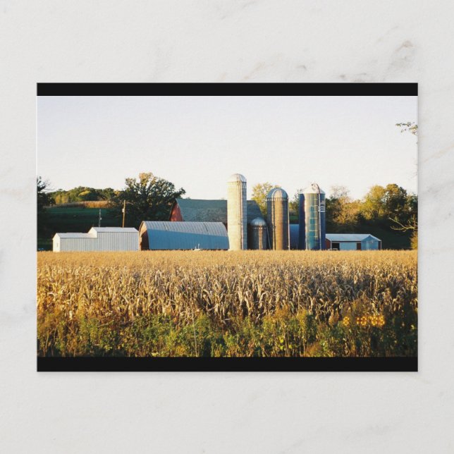 Cartão Postal Pôr do sol na Fazenda (Frente)