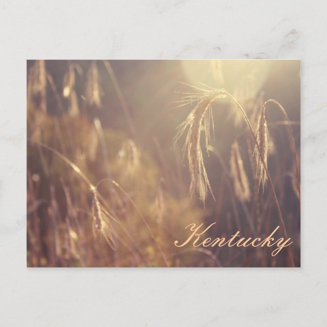 Cartão Postal Pôr do sol na montanha (Frente)