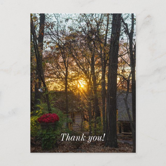 Cartão Postal Pôr do sol nas matas do Sdc (Frente)