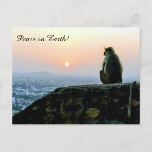 Cartão Postal Pôr do Sol no Macaco da Meditação Terrestre