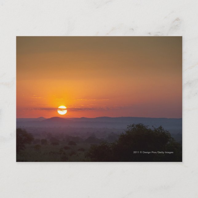 Cartão Postal Pôr Do Sol Sobre A Paisagem Africana (Frente)