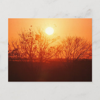 Cartão Postal Pôr do sol sobre o Bayou