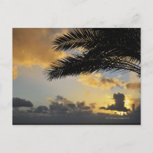 Cartão Postal Pôr do sol sobre o oceano Atlântico, Madeira,
