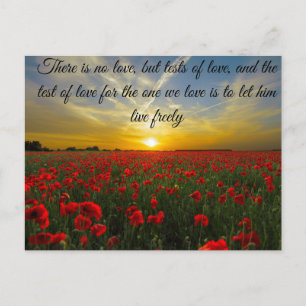 Cartão Postal pôr do sol sol