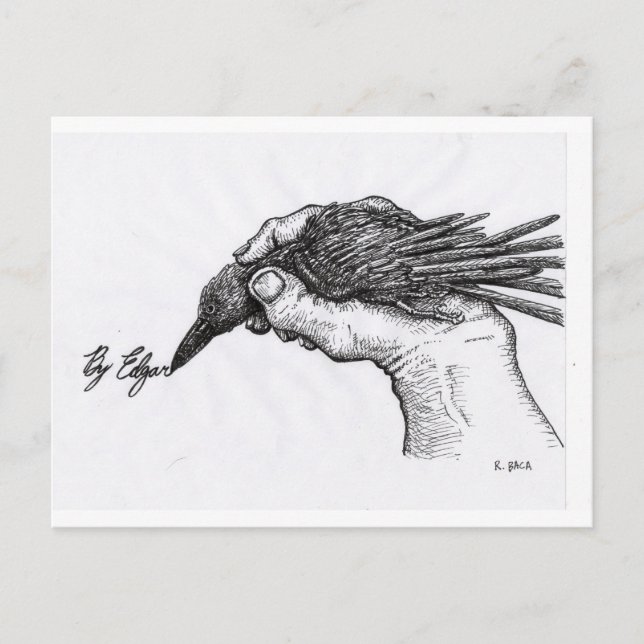 Cartão Postal Por Edgar (Frente)