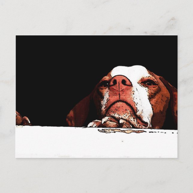 Cartão Postal Por favor, não vá (Frente)