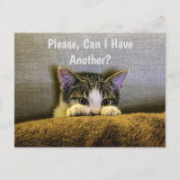Por Favor, Posso Ter Outro? Engraçado Kitten