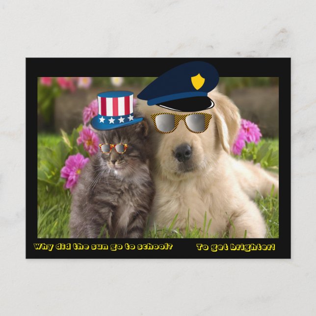 Cartão Postal Por que o sol foi para a escola? (Frente)