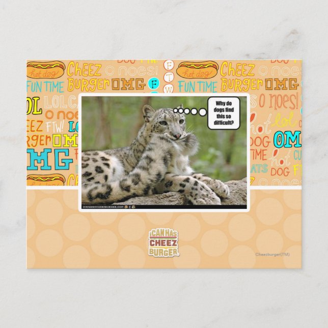 Cartão Postal Por que os cachorros acham isso tão difícil? (Frente)
