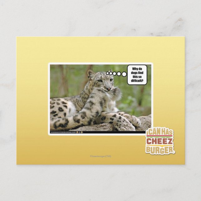 Cartão Postal Por que os cachorros acham isso tão difícil? (Frente)