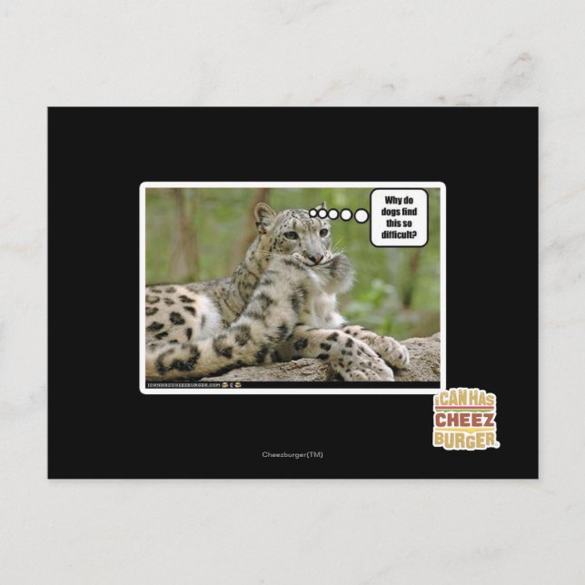 Cartão Postal Por que os cachorros acham isso tão difícil? (Frente)
