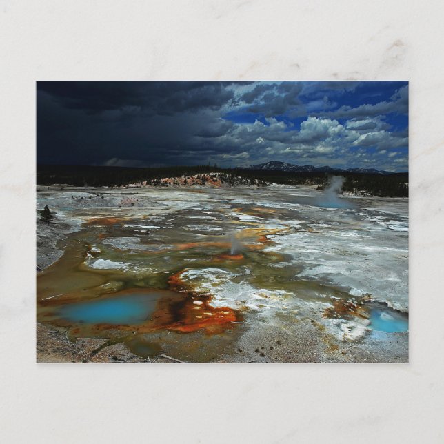 Cartão Postal Porcelain Basin (Frente)