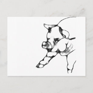 Cartão Postal porco