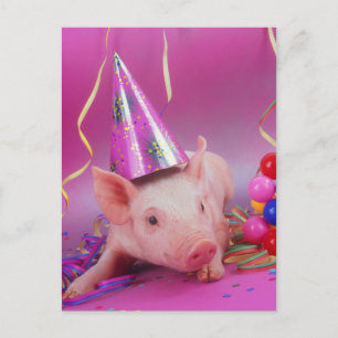 Cartão Postal Porco de Festa Engraçado