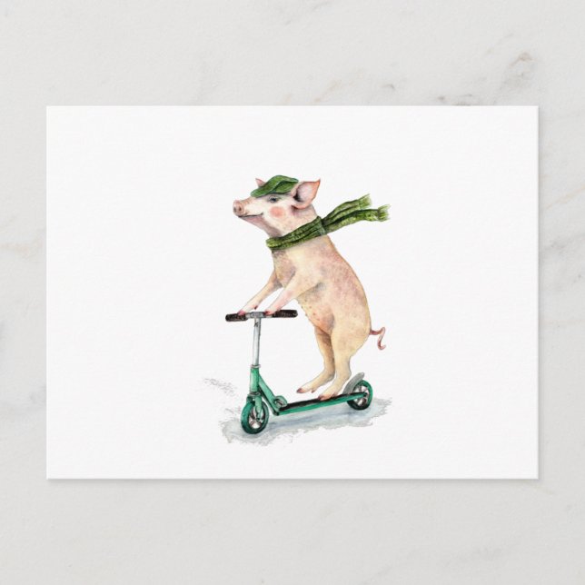 Cartão Postal Porco num scooter (Frente)