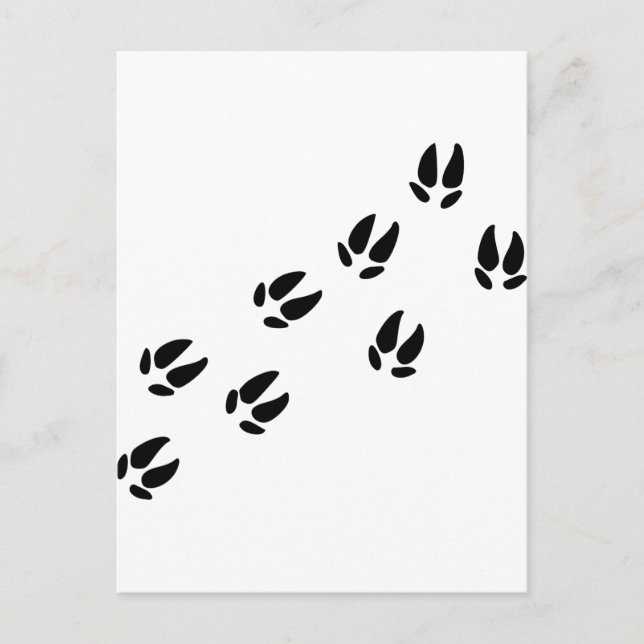 Cartão Postal Porco - Rastreios (Frente)