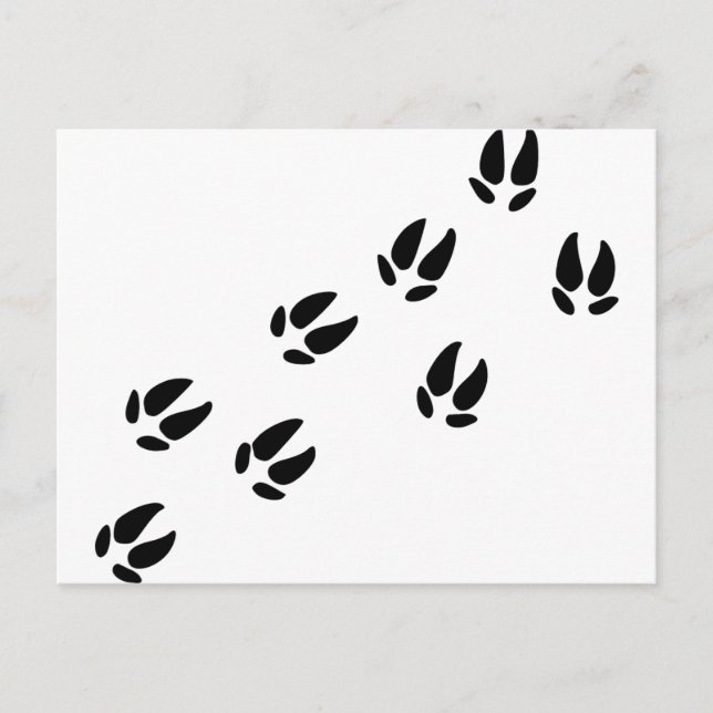 Cartão Postal Porco - Rastreios (Frente)