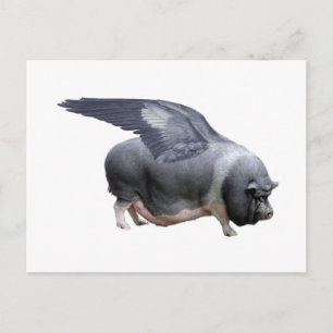 Cartão Postal porco voador