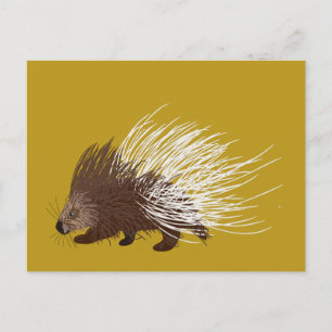 Cartão Postal Porcupina Dourada castanha e mostarda