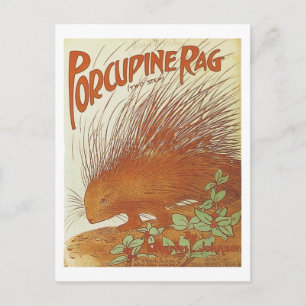Cartão Postal Porcupine Rag Vintage Cobrir