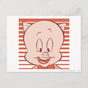 Cartão Postal Porky Pig Expressivo 23