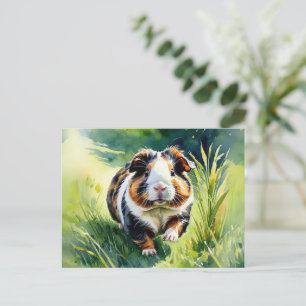 Cartão Postal Porquinho-da-índia na Grama Amante de Animais de E