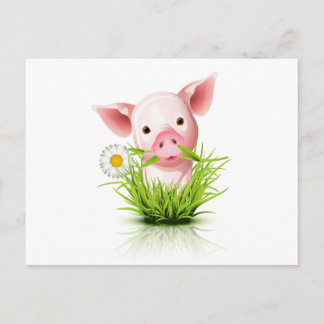 Cartão Postal Porquinho rosa na grama