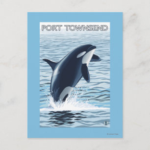 Cartão Postal Port Townsend, Washington Orca Jumping
