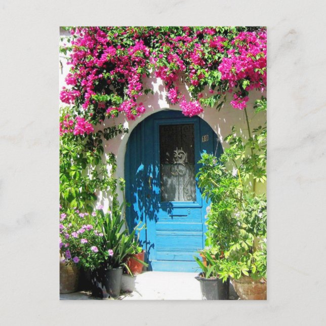 Cartão Postal Porta azul armada com uma bela bougainvillea (Frente)