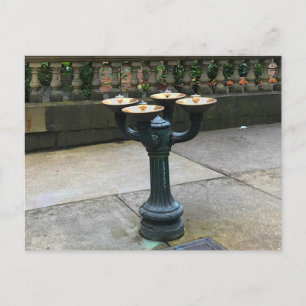 Cartão Postal Portland Benson Bubblers #1 Cartão-postal