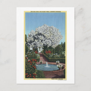 Cartão Postal Portland, Oregon - Piscina Espanhola e Árvore Fan