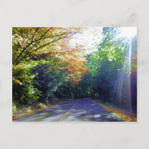 Cartão Postal Portland, Oregon Road até ao Rosa Garden
