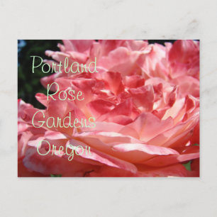 Cartão Postal Portland Rosa Gardens postais Pink Rosado Garden