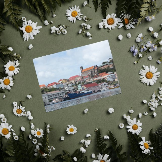 Cartão Postal Porto de Rua. (Criador carregado)