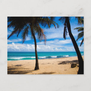 Cartão Postal Porto Rico - Praia Condado