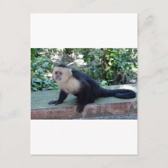 Cartão Postal Portrait.JPG (Frente)