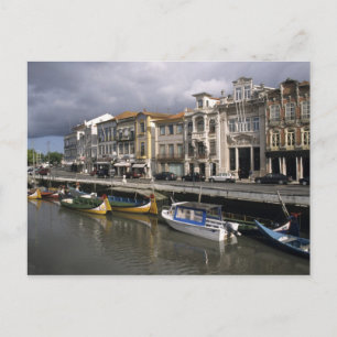 Cartão Postal Portugal, Aveiro. Moliceiros (coleta de algas mari