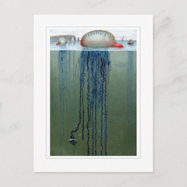 Cartão Postal Português de Guerra (Frente)