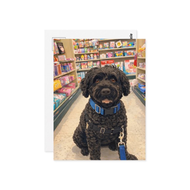 Cartão Postal Portuguese Water Dogs Kawaii Anime Postcard (Frente/Verso In Situ)