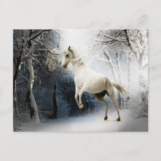 Cartão Postal Pós-cruzamento da Floresta de Inverno dos Cavalos 