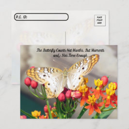 Cartão Postal Pós-travessia - Citação da Borboleta Branca de Pea