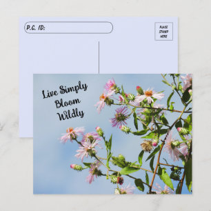 Cartão Postal Pós-travessia de Pink Wildflower na cotação azul