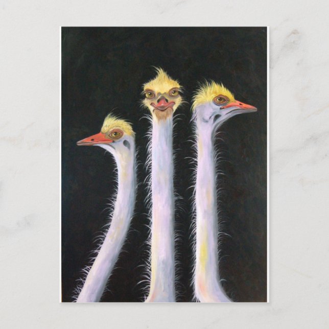 Cartão Postal Posers (Frente)